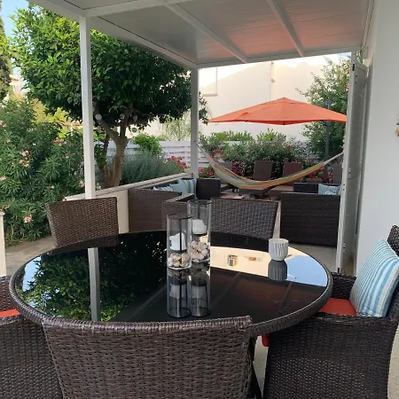 Villa Citrus Tree